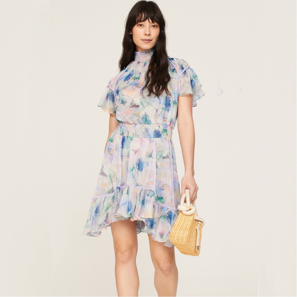 Nwt Misa Los Angeles Ella Chiffon Dress Size Small